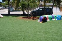 Synthetic Turf International SoftLawn Playground Safety Surfacing Artificial Grass