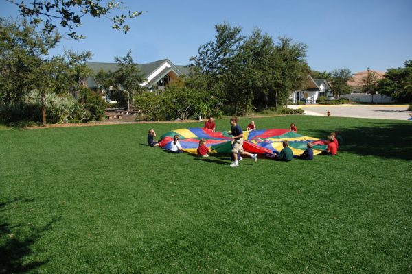 Synthetic Turf International SoftLawn Playground Safety Surfacing Artificial Grass