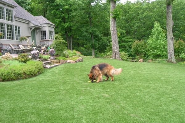 Synthetic Turf International SoftLawn Pet Turf K9 Artificial Grass