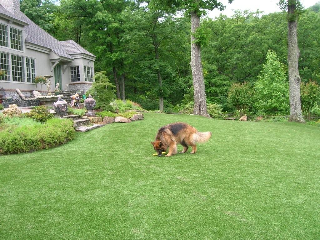 Fake Grass for Dogs & All Pets | Synthetic Turf International®