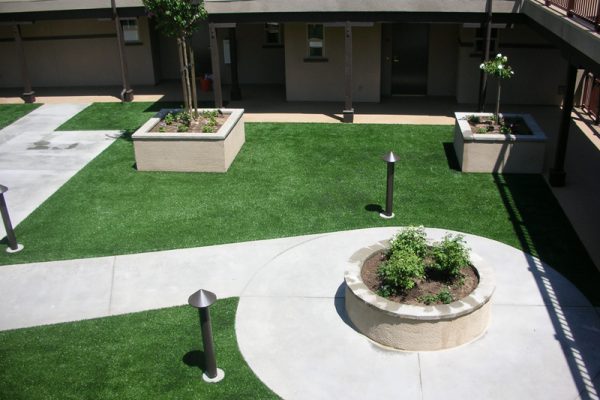 Synthetic Turf International SoftLawn Lawn and Landscape Artificial Grass