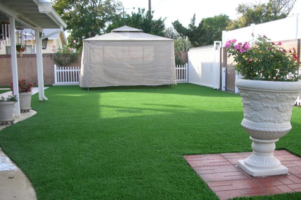 Synthetic Turf International SoftLawn Lawn and Landscape Artificial Grass