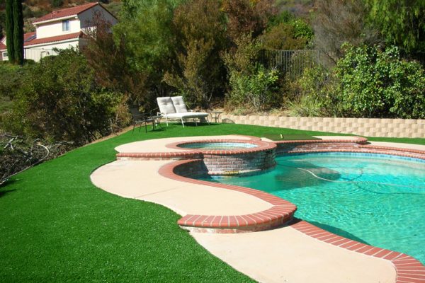 Synthetic Turf International SoftLawn Lawn and Landscape Artificial Grass