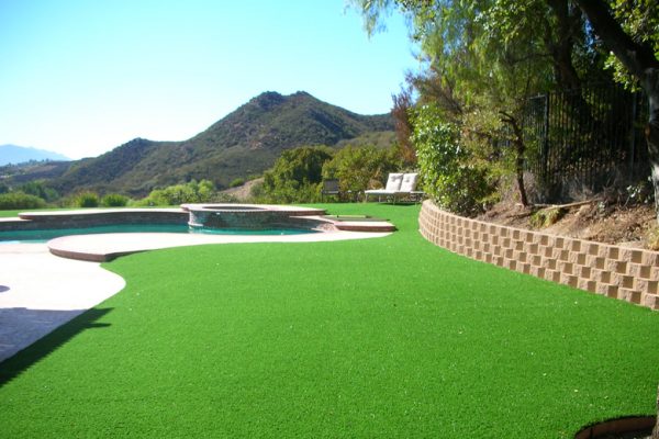 Synthetic Turf International SoftLawn Lawn and Landscape Artificial Grass