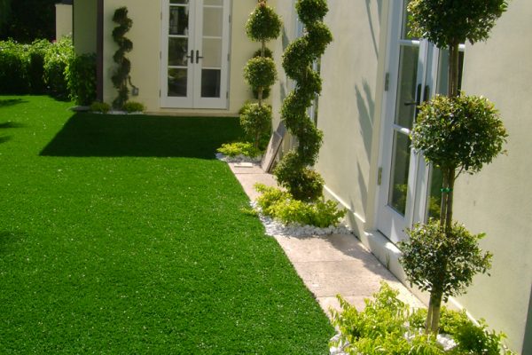 Synthetic Turf International SoftLawn Lawn and Landscape Artificial Grass