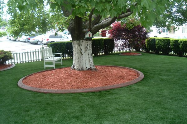 Synthetic Turf International SoftLawn Lawn and Landscape Artificial Grass