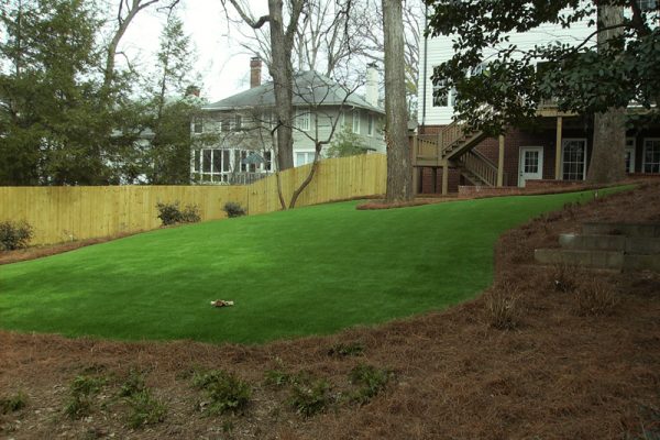 Synthetic Turf International SoftLawn Lawn and Landscape Artificial Grass