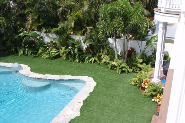 Synthetic Turf International SoftLawn Lawn and Landscape Artificial Grass