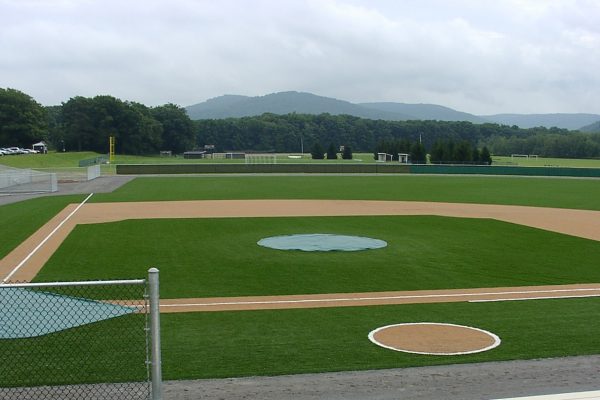 Synthetic Turf International Baseball Batting Cages Fields Halos Sports Artificial Grass