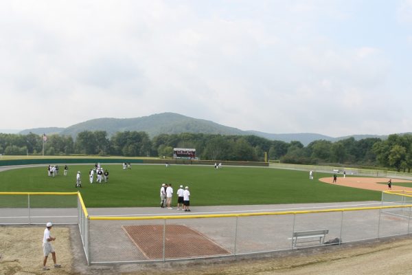 Synthetic Turf International Baseball Batting Cages Fields Halos Sports Artificial Grass