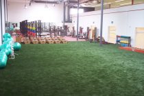 Synthetic Turf International Indoor Athletics Training Agility Multipurpose Facility Artificial Grass