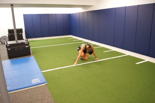 Synthetic Turf International Indoor Athletics Training Agility Multipurpose Facility Artificial Grass