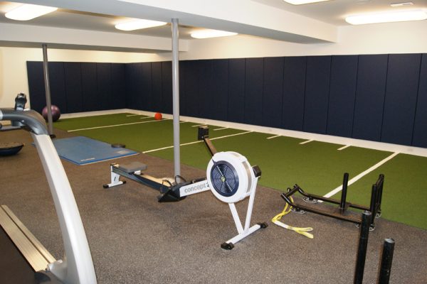 Synthetic Turf for Gym Fitness Applications