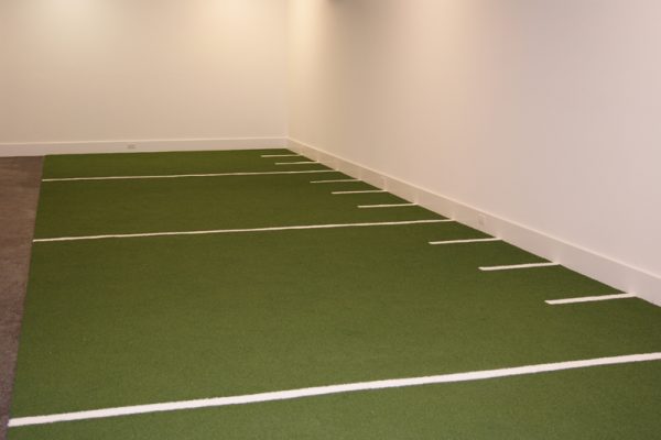 Synthetic Turf International Indoor Athletics Training Agility Multipurpose Facility Artificial Grass