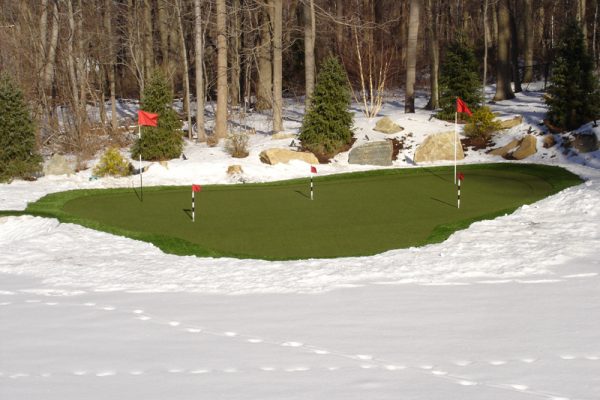 Synthetic Turf International Putting Greens Artificial Grass