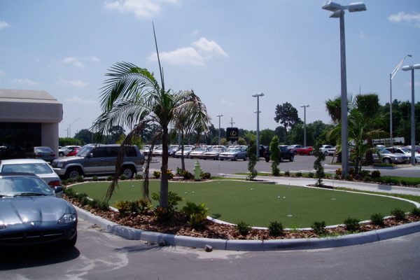 Synthetic Turf International Putting Greens Artificial Grass