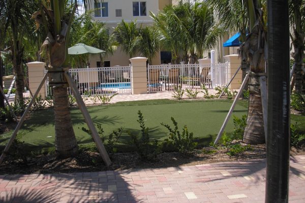 Synthetic Turf International Putting Greens Artificial Grass