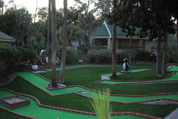 Synthetic Turf International Putting Greens Artificial Grass