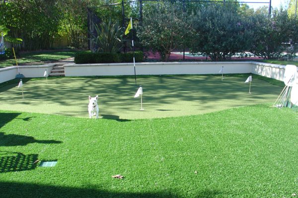 Synthetic Turf International Putting Greens Artificial Grass