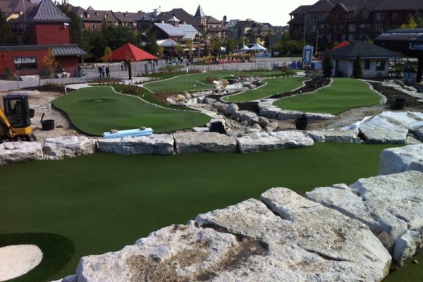 Synthetic Turf International Putting Greens Artificial Grass