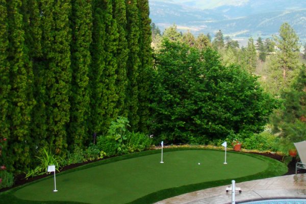 Synthetic Turf International Putting Greens Artificial Grass