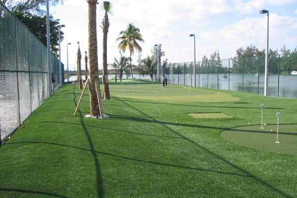 Synthetic Turf International Putting Greens Artificial Grass