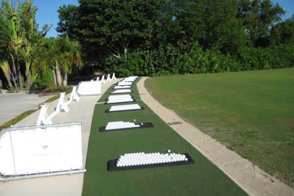 Synthetic Turf International EZTee Tee Line Hitting Mats Golf Artificial Grass
