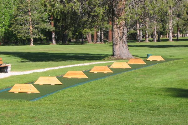 Synthetic Turf International EZTee Tee Line Hitting Mats Golf Artificial Grass