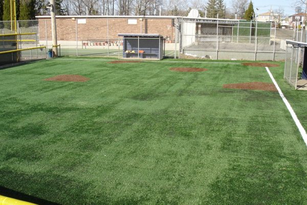 Synthetic Turf International Athletics Sports Fields Artificial Grass