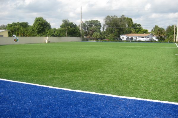 Synthetic Turf International Athletics Sports Fields Artificial Grass