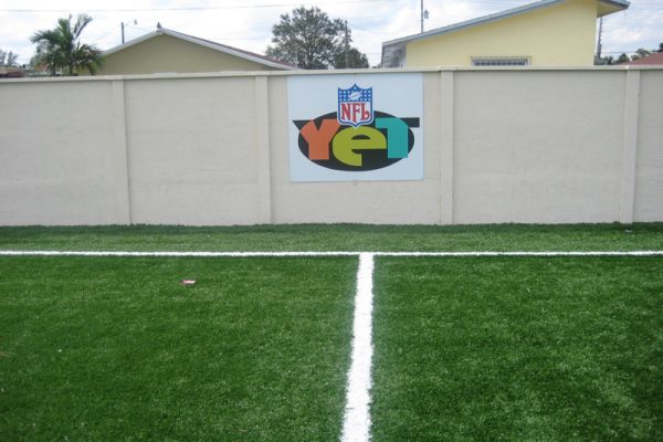 Synthetic Turf International Athletics Sports Fields Artificial Grass