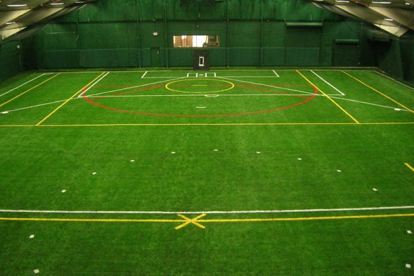 Synthetic Turf International Athletics Sports Fields Artificial Grass