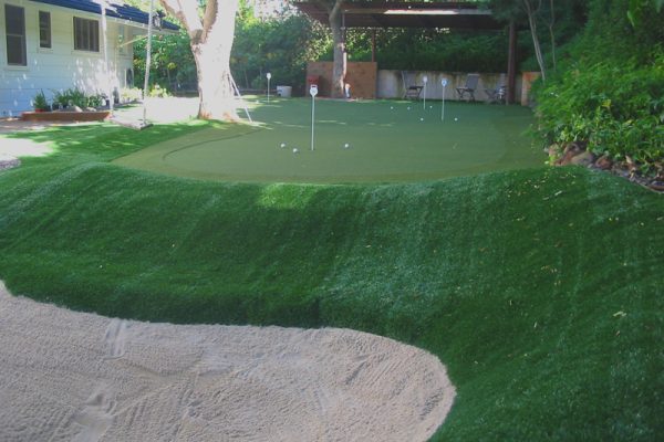 Golf Cup Cover - Artificial Grass, Putting Greens, Astro Turf & Ivy Plant  in West Palm Beach