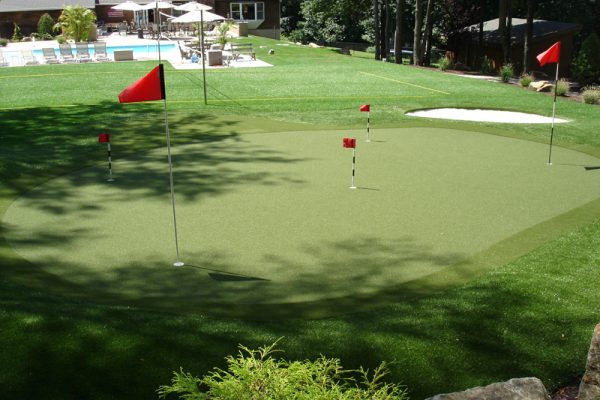 Synthetic Turf International Putting Greens Artificial Grass