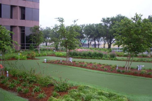 Synthetic Turf International Putting Greens Artificial Grass