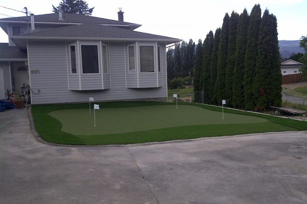 Synthetic Turf International Putting Greens Artificial Grass