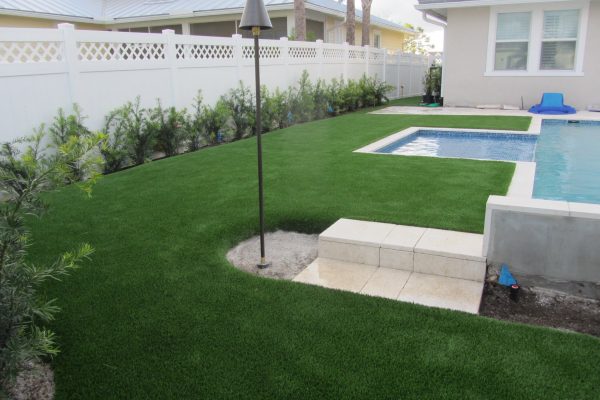 Synthetic Turf International SoftLawn Lawn and Landscape Artificial Grass