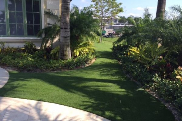 Synthetic Turf International SoftLawn Lawn and Landscape Artificial Grass