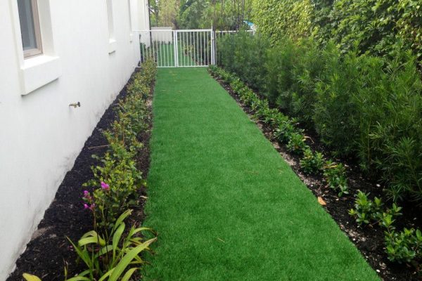 Synthetic Turf International SoftLawn Lawn and Landscape Artificial Grass