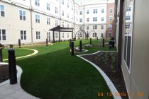 University of Maryland Book Exchange Synthetic Turf International SoftLawn Lawn and Landscape Artificial Grass