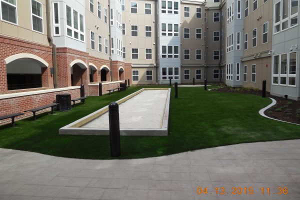 University of Maryland Book Exchange Synthetic Turf International SoftLawn Lawn and Landscape Artificial Grass