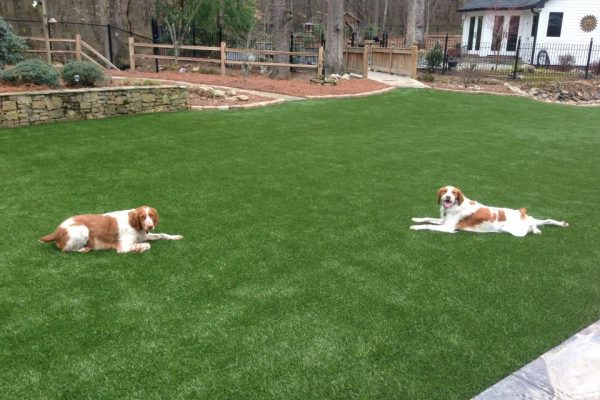 Synthetic Turf International SoftLawn Pet Turf K9 Artificial Grass