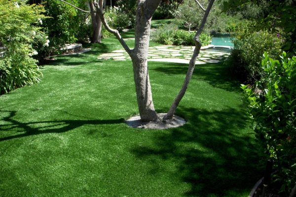 Synthetic Turf International SoftLawn Lawn and Landscape Artificial Grass