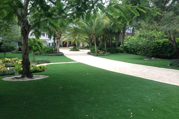 Synthetic Turf International SoftLawn Lawn and Landscape Artificial Grass