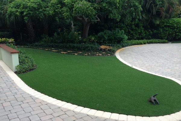 Synthetic Turf International SoftLawn Lawn and Landscape Artificial Grass