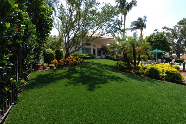 Synthetic Turf International SoftLawn Lawn and Landscape Artificial Grass