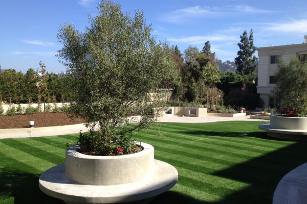 Synthetic Turf International SoftLawn Lawn and Landscape Artificial Grass