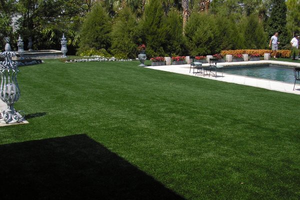 Artificial Grass in Backyard