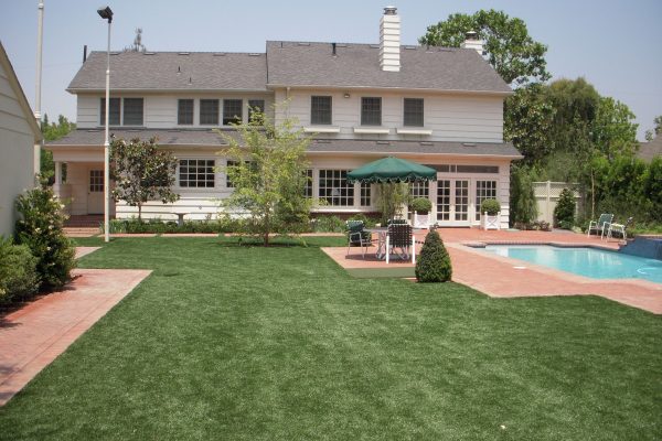 Synthetic Turf International SoftLawn Lawn and Landscape Artificial Grass