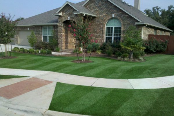 Synthetic Turf International SoftLawn Lawn and Landscape Artificial Grass